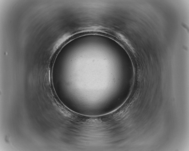X0000096951320200802081220