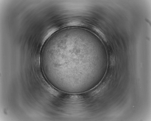X0000096951322200802081220