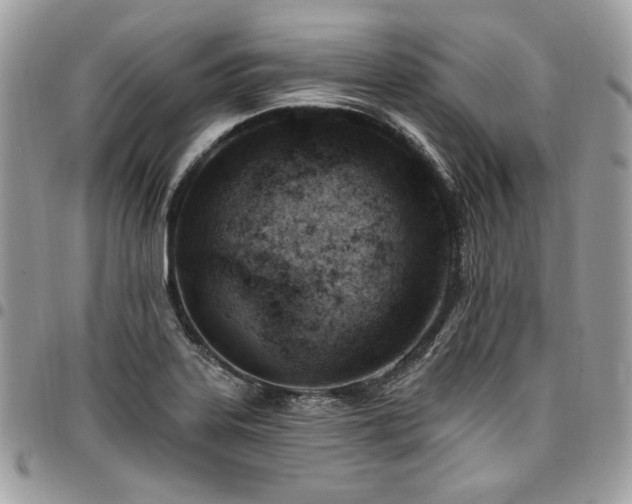 X0000096951323200802081220