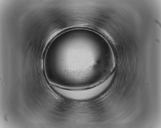 X0000096951324200802081220