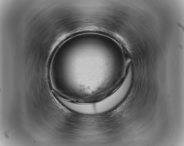 X0000096951326200802081220