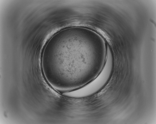 X0000096951334200802081220