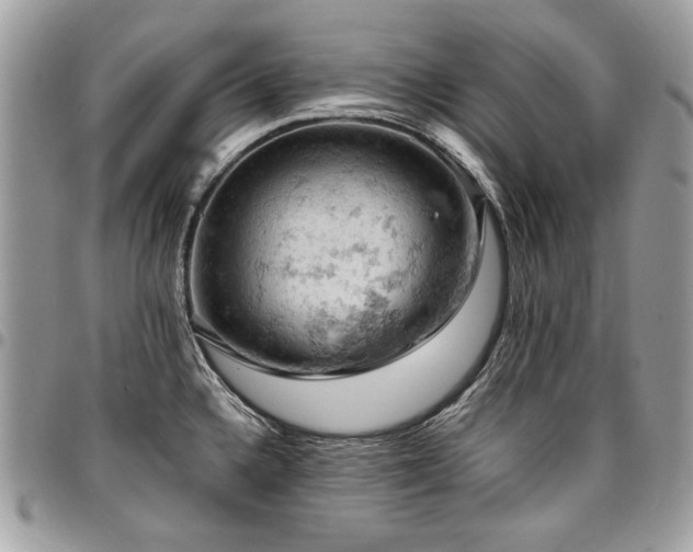 X0000096951336200802081220