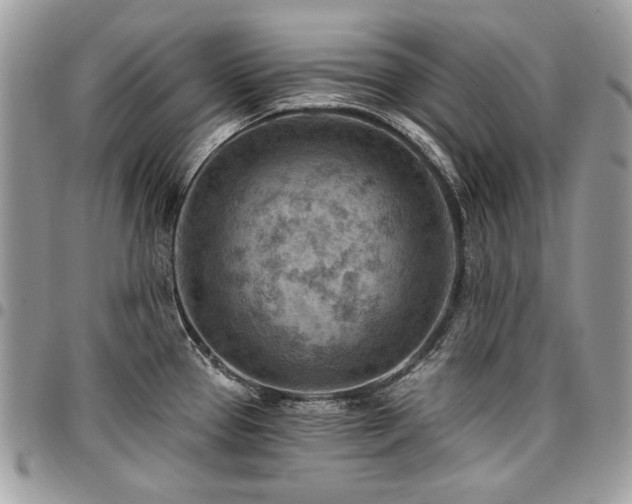 X0000096951337200802081220