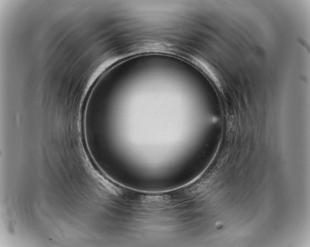 X0000096951339200802081220