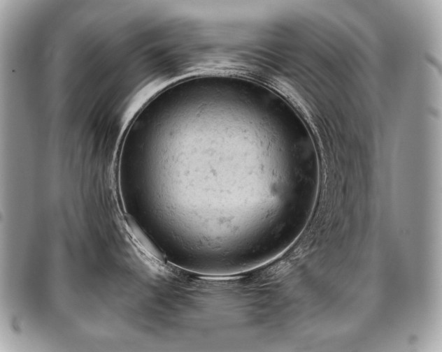 X0000096951344200802081221