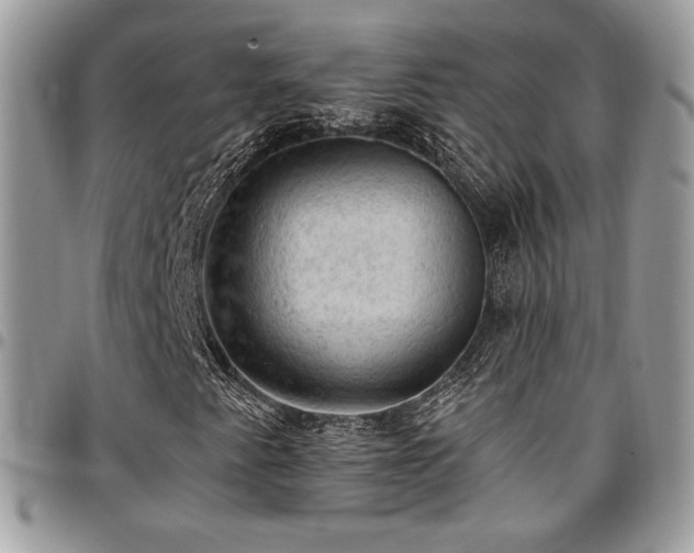 X0000096951345200802081220