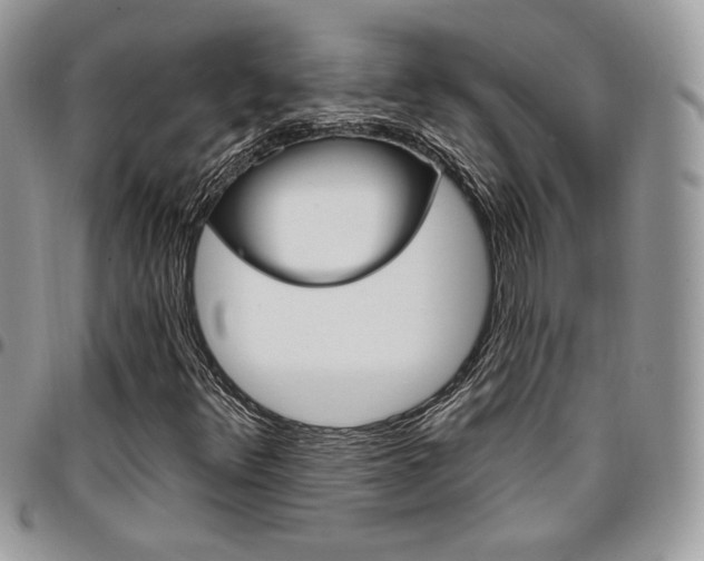 X0000096951348200802081220