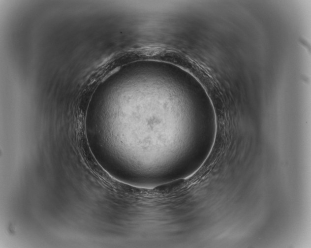 X0000096951349200802081220