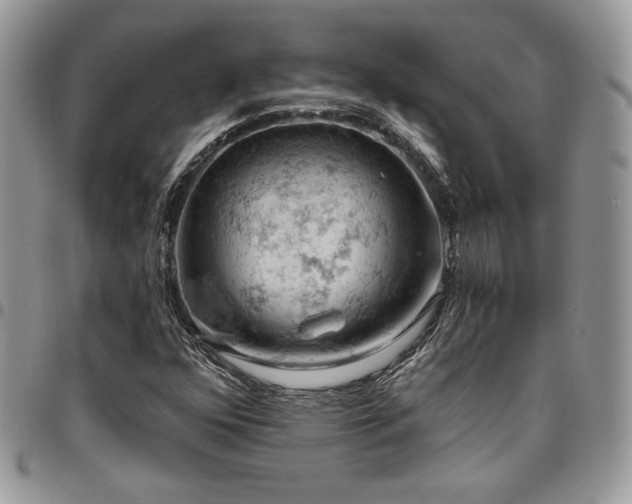 X0000096951352200802081219