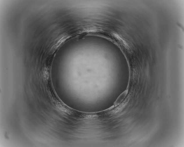 X0000096951353200802081219
