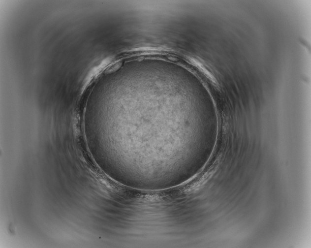 X0000096951357200802081219