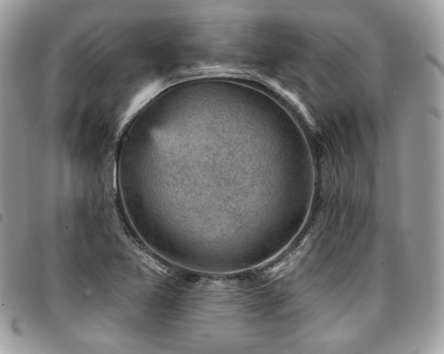 X0000096951365200802081219