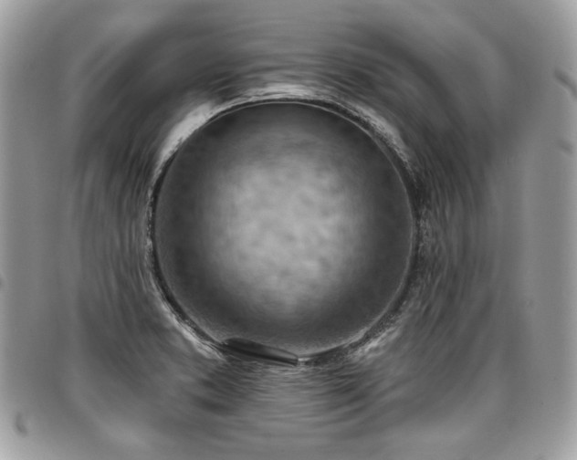 X0000096951373200802081219