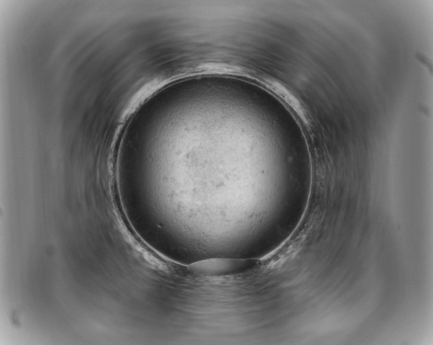X0000096951381200802081219