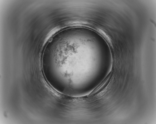 X0000096951384200802081219
