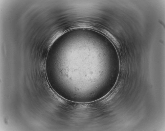 X0000096951385200802081219
