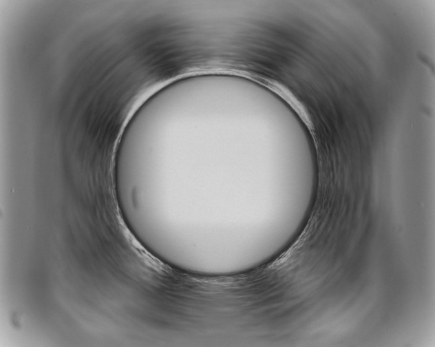 X0000096951388200802081219