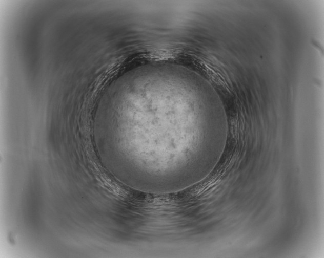 X0000096951393200802081218