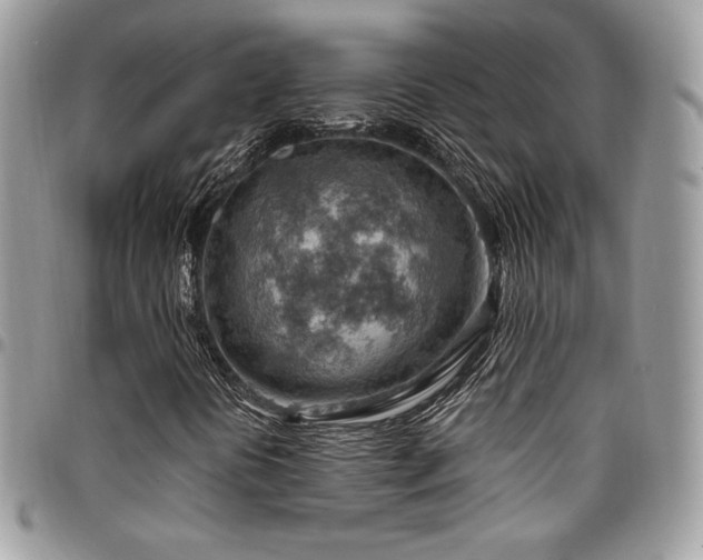 X0000096951394200802081218