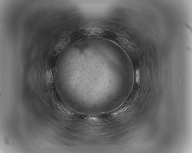 X0000096951395200802081218