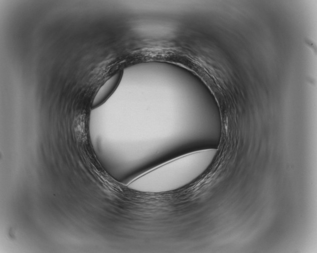 X0000096951396200802081218