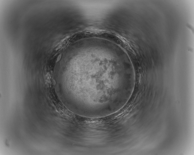 X0000096951397200802081218