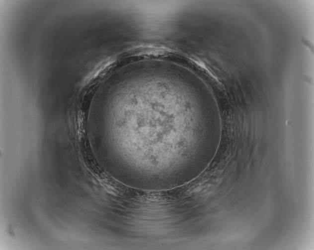 X0000096951399200802081218