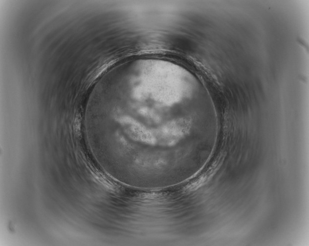 X0000096951401200802081218