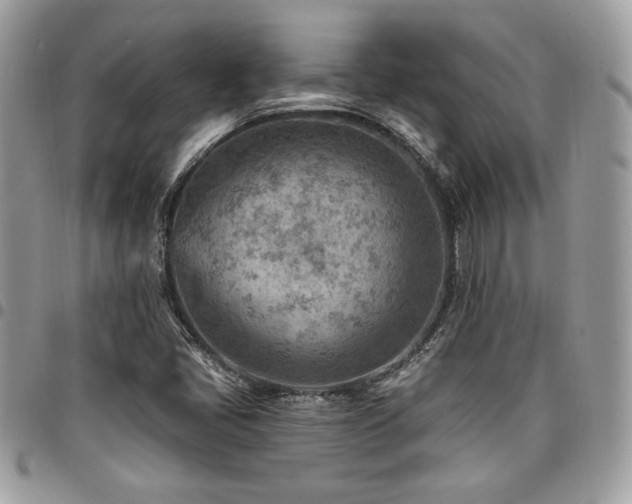 X0000096951405200802081218