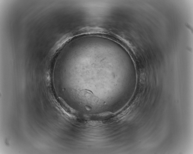 X0000096951407200802081218