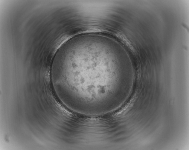 X0000096951409200802081218