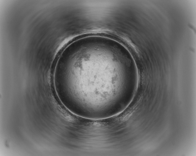 X0000096951412200802081219