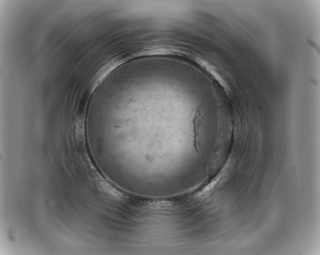 X0000096951417200802081219