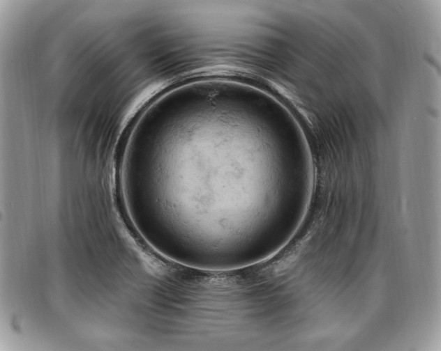 X0000096951418200802081219