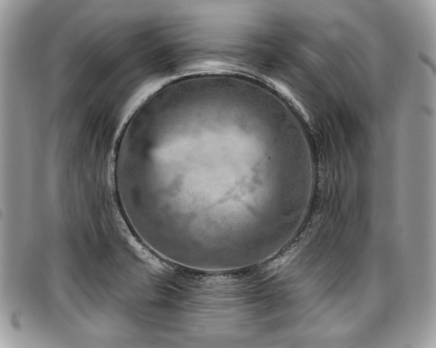 X0000096951421200802081219