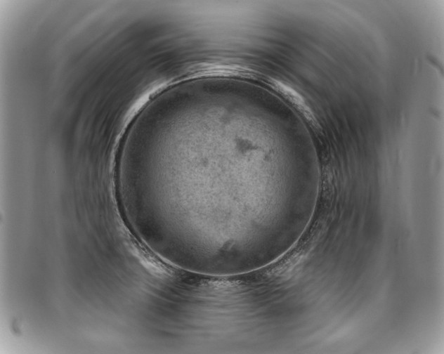 X0000096951427200802081219