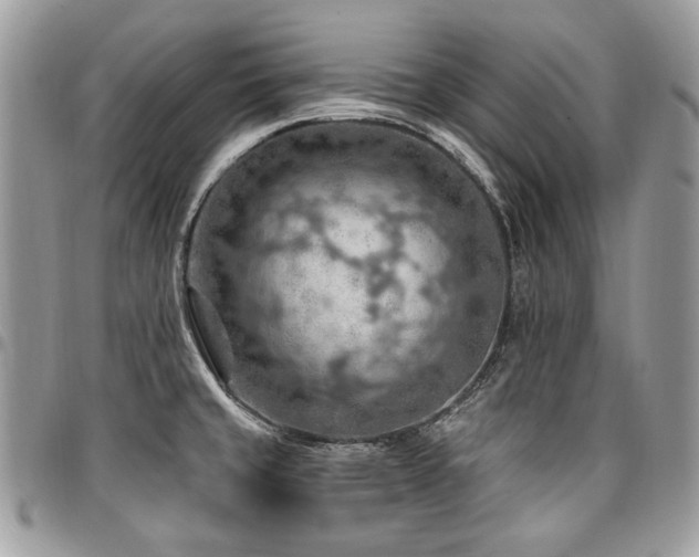 X0000096951429200802081219