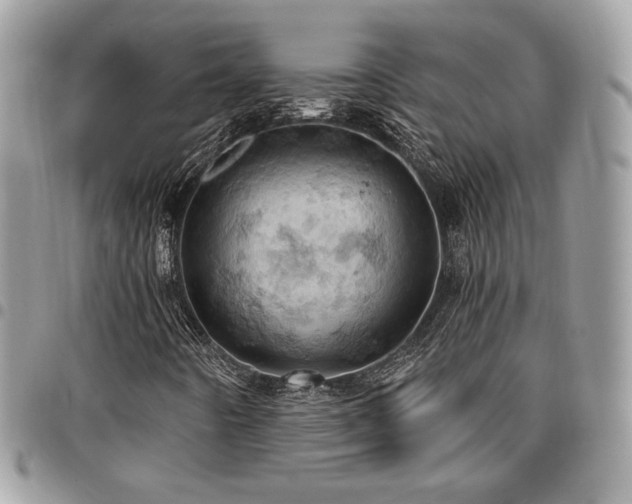 X0000096951442200802081218