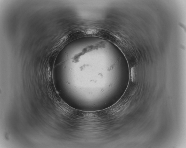 X0000096951443200802081218