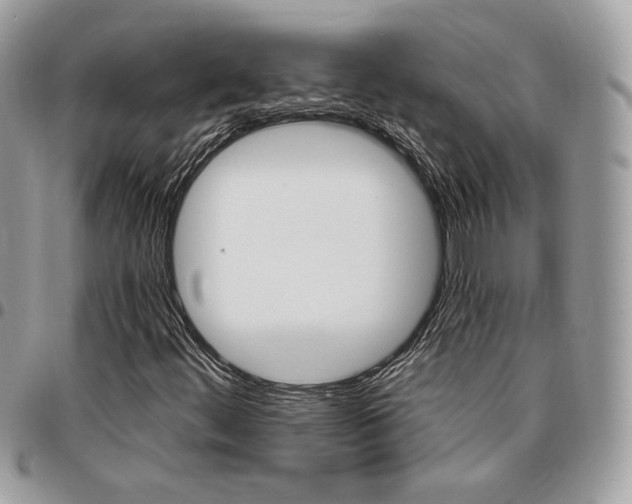 X0000096951444200802081218