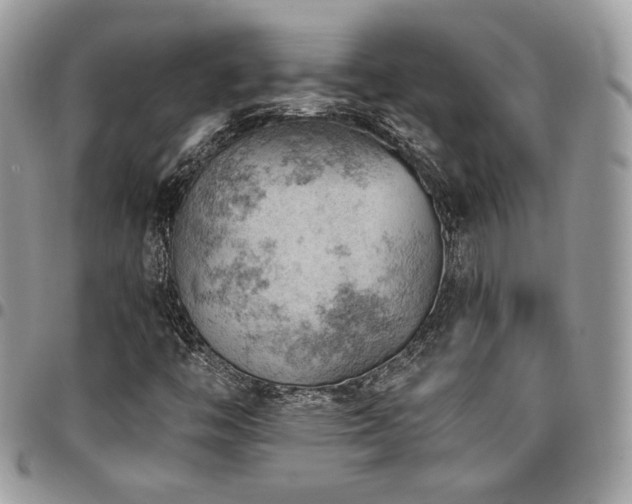 X0000096951446200802081218
