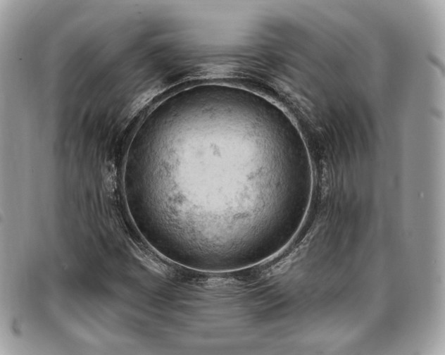 X0000096951449200802081218