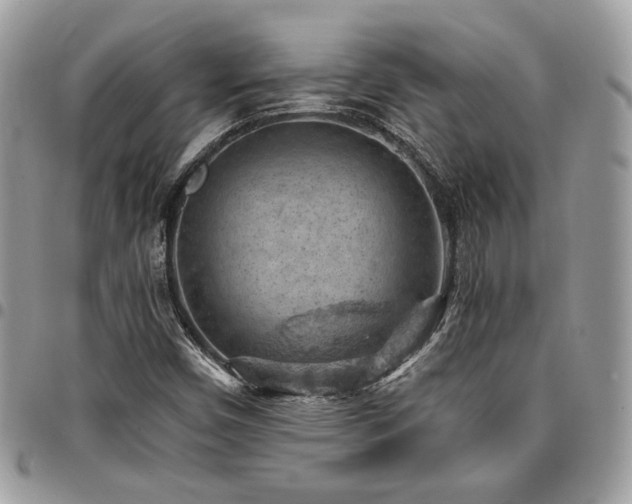 X0000096951450200802081218