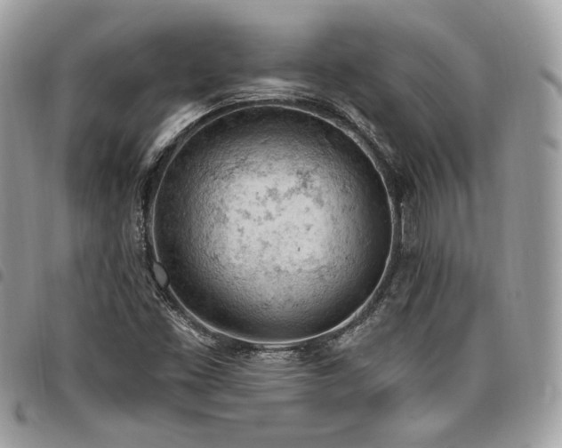 X0000096951453200802081218