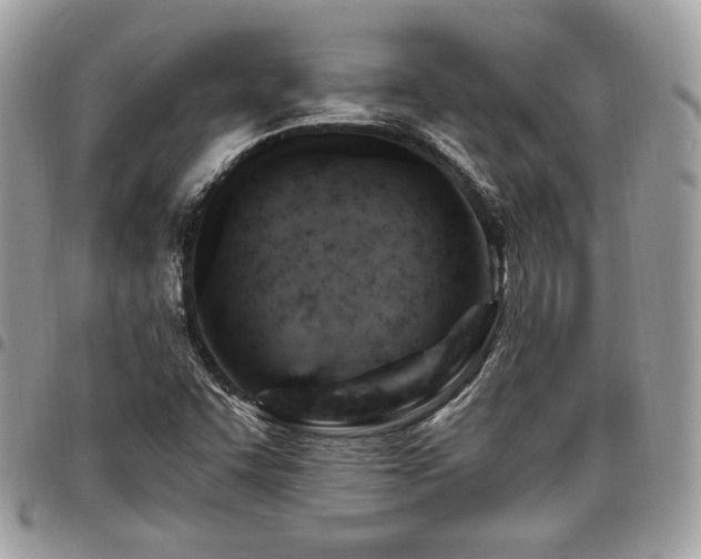 X0000096951455200802081218