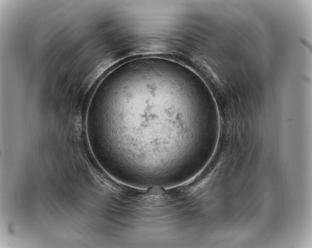 X0000096951457200802081218