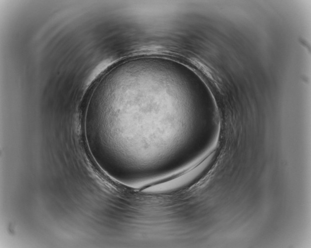 X0000096951458200802081218