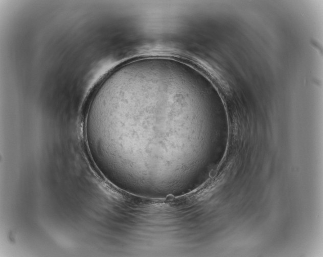 X0000096951462200802081218
