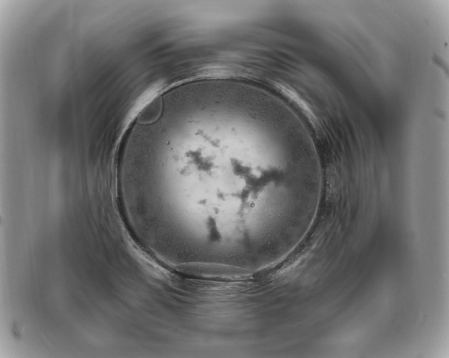 X0000096951467200802081218